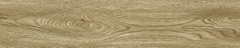 Gạch Prime 20x100cm 20705