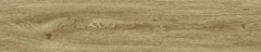 Gạch Prime 20x100cm 20705