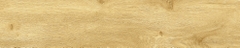 Gạch Prime 20x100cm 20710