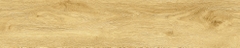 Gạch Prime 20x100cm 20710