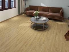 Gạch Prime 20x120cm 20806