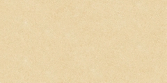 Gạch Prime 40x80cm 08221