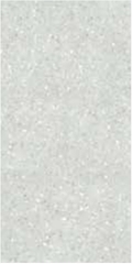 Gạch Đồng Tâm 40x80 THANGLONG003-FP
