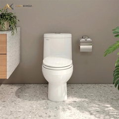 Bồn cầu 1 khối Viglacera BTE