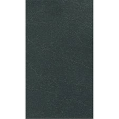 Gạch Taicera 30×60 – G63919