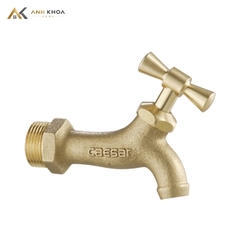 Vòi lạnh gắn tường Caesar W035
