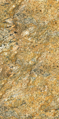 Gạch Catalan 60x120cm 12012