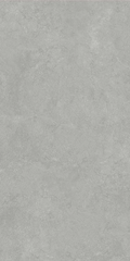 Gạch Catalan 60x120cm 12205
