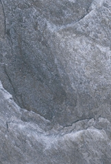 Gạch Prime 40x60cm 10611