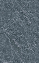Gạch Prime 50x80cm 10802