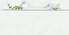 Gạch Prime 30x60cm 22168