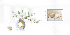 Gạch Prime 30x60cm 33232