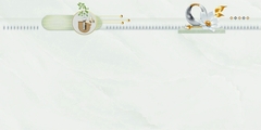 Gạch Prime 40x80cm 08539