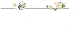 Gạch Prime 40x80cm 08542