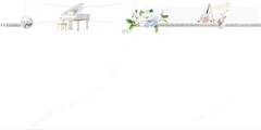 Gạch Prime 40x80cm 08545