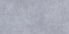 Gạch Prime 50x100cm 29001