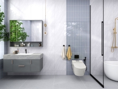Gạch Prime 50x100cm 29054