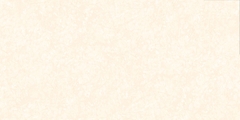 Gạch Prime 50x100cm 29057