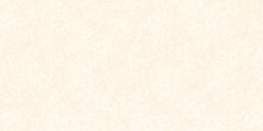 Gạch Prime 50x100cm 29057