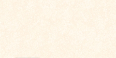 Gạch Prime 50x100cm 29057