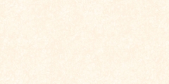 Gạch Prime 50x100cm 29057