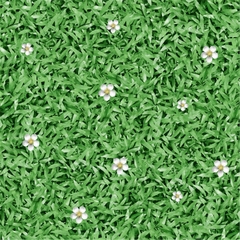 Gạch Prime 50x50cm 01526