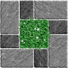 Gạch Prime 50x50cm 01548