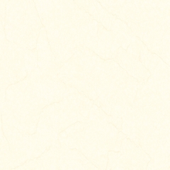 Gạch Prime 60x60cm 32055