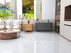 Gạch Prime 60x60cm 32E11