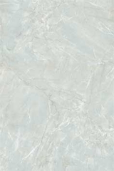 Gạch ốp lát Prime 30x45 9415