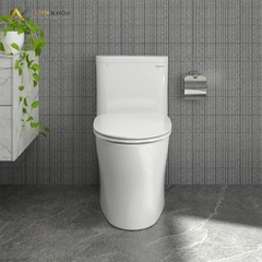 Bồn cầu 1 khối Viglacera P356 (P.11.321)