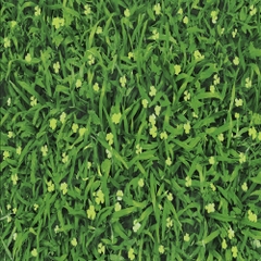 Gạch lát Mikado 40x40 VC4505