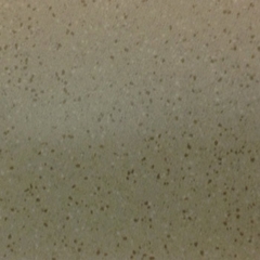 Gạch VietCeramics 60×60 – 60SP03