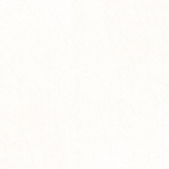 Gạch lát nền Prime 60x6011630