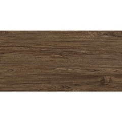 Gạch KIS 50×100 – K105002F
