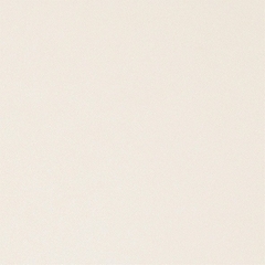 Gạch Royal men mờ 60x60 60013