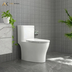 Bồn cầu 1 khối Viglacera P356 (P.11.321)