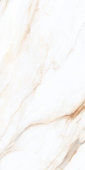 Gạch 3060PM36602S Vietceramics (White Space)