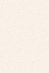 Gạch ốp tường Prime 30x45 09527