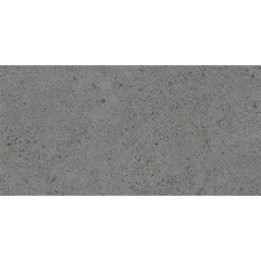Gạch Ốp Lát Malaysia 30x60 SSR309D
