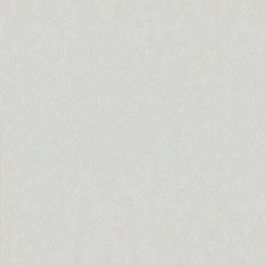 Gạch Taicera 60×60 G68025