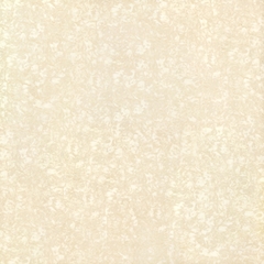 Gạch Viglacera 50×50 K512