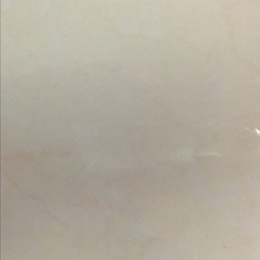 Gạch Taicera 60×60 – P87594N