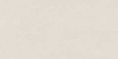 Gạch ốp tường Prime 30x60 09958