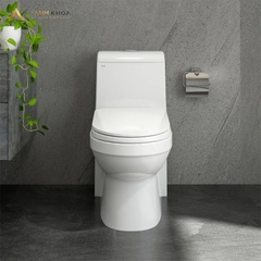 Bồn cầu 1 khối Sanfi S304