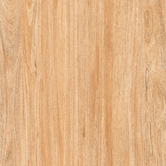 Gạch lát nền 60x60 08206