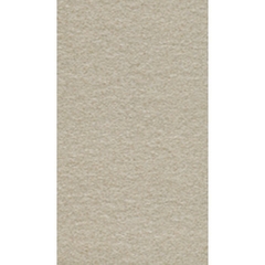 Gạch Taicera 30×60 G63522