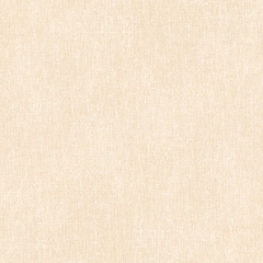 Gạch lát nền Prime 60x60 09908