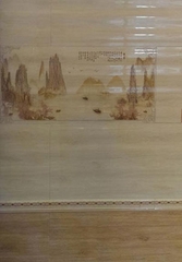 Gạch ốp vệ sinh 30x60 36627