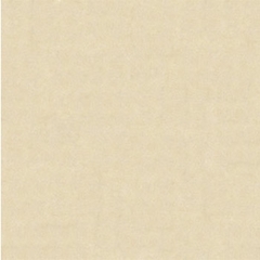 Gạch Granite lát sàn 60×60 – MN60002